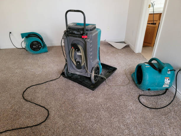 Best Water damage cleanup near me  in Verona, WI