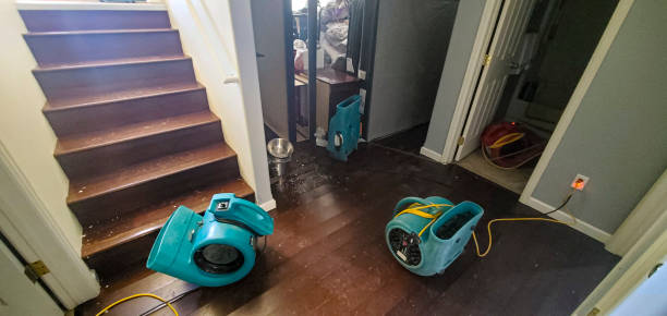 Best Water damage restoration near me  in Verona, WI