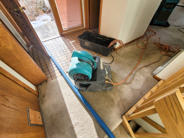 Best Water damage restoration process  in Verona, WI