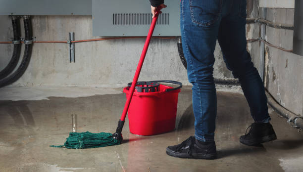 Best Local water damage restoration  in Verona, WI
