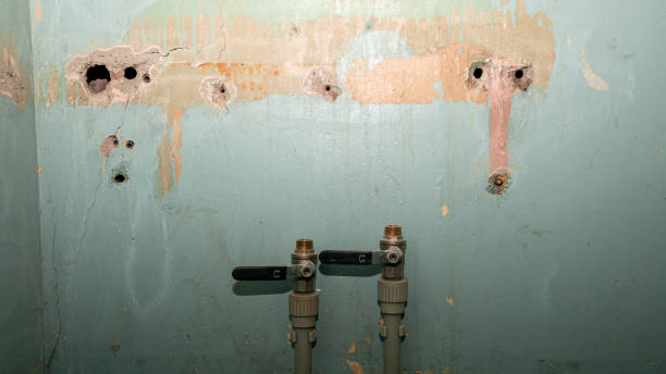Best Flood damage cleanup  in Verona, WI