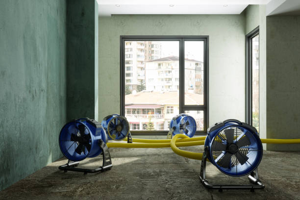 Best Ceiling water damage repair  in Verona, WI
