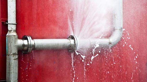 Best Carpet water damage restoration  in Verona, WI